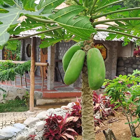 Eco Farm Romantic Stone House 700 Meters Above Sea Level At Camiguin Island Mambajao Exterior photo